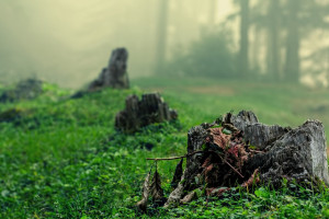 IG官宣新教练!粉丝期待“NaBH4”组合重塑辉煌