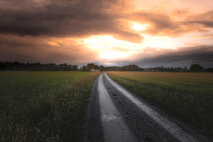 NBA联盟公告解读,这次真的不一样,改变从公告开始! NBA联盟公告解读,这次真的不一样,改变从公告开始!